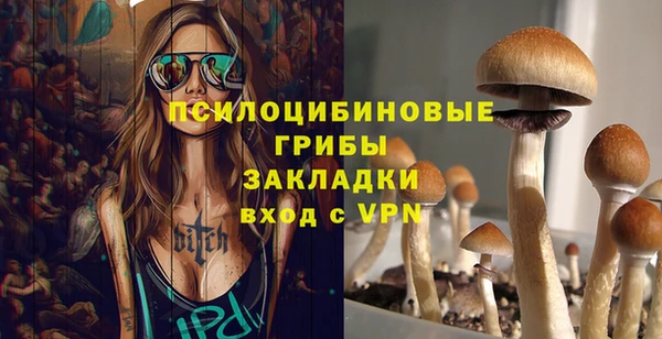 ГАЛЛЮЦИНОГЕННЫЕ ГРИБЫ Верхнеуральск