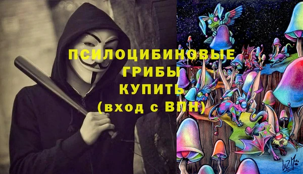 хмурый Верхний Тагил