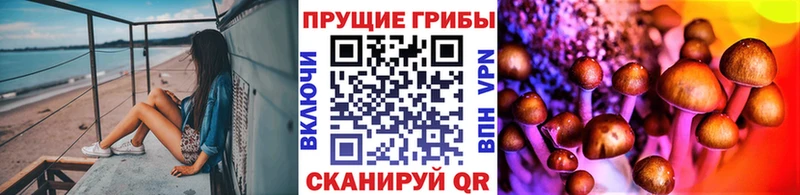 Псилоцибиновые грибы MAGIC MUSHROOMS  omg ONION  Воткинск 